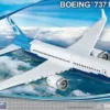 Boeing 737 max 8 315 osaa