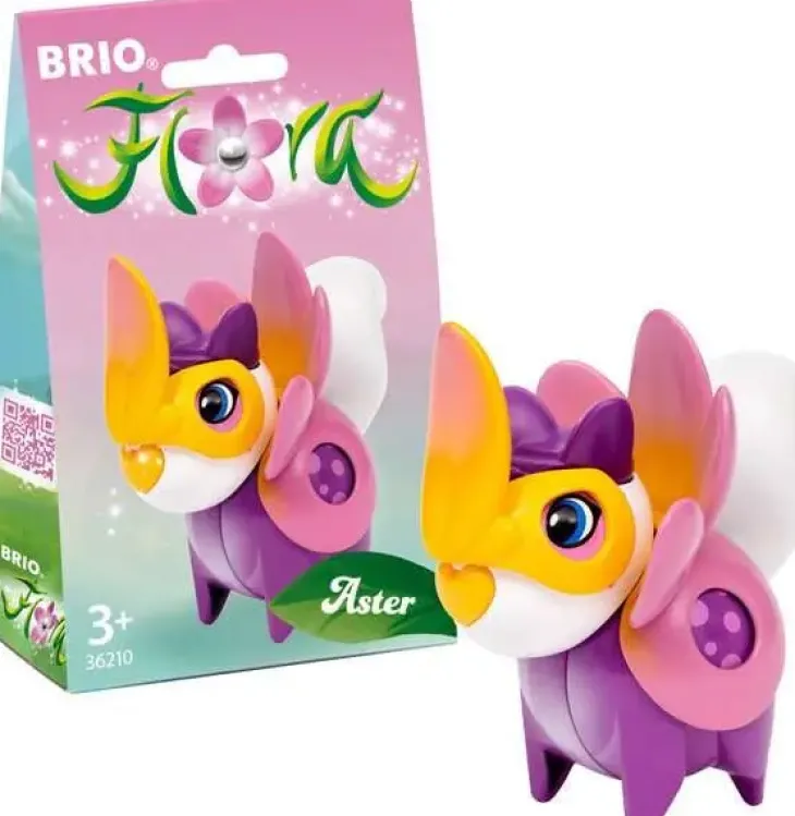 Brio flora 36210 aster