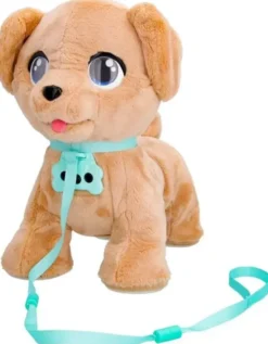 Club petz milo koira