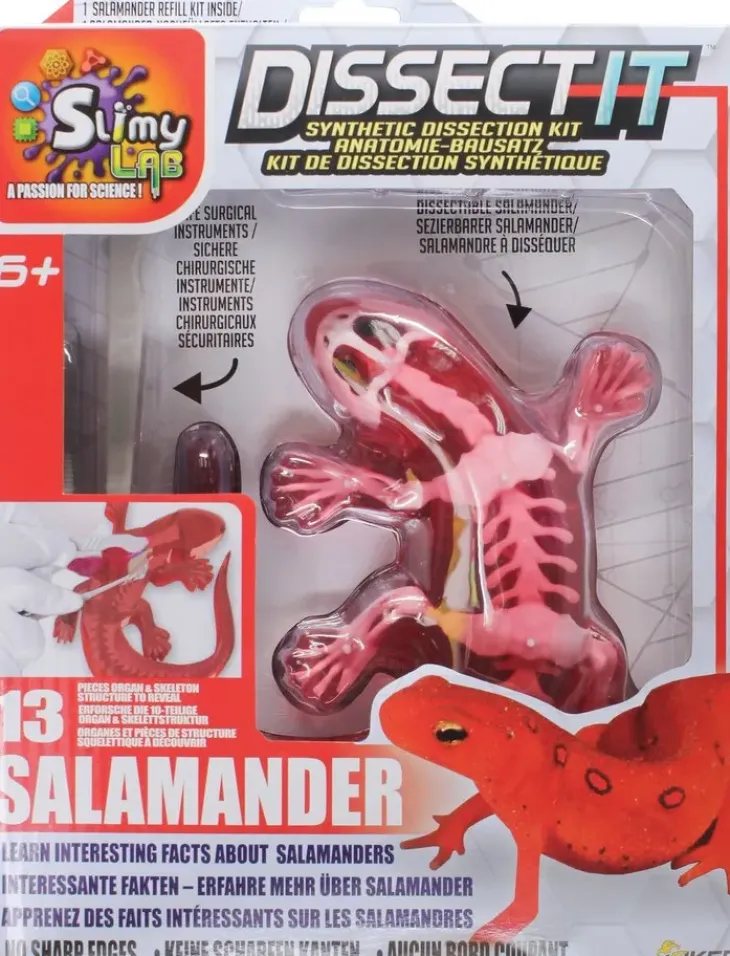 Dissect it salamanteri