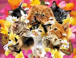 3d livelife postcards - cats