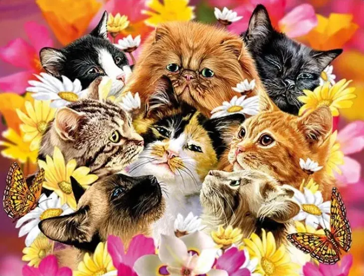 3d livelife postcards - cats