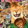 3d livelife postcards - safari smilesby