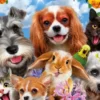 Educa pet selfie 200 palaa