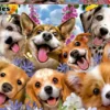 Educa puppies selfie 1000 palaa