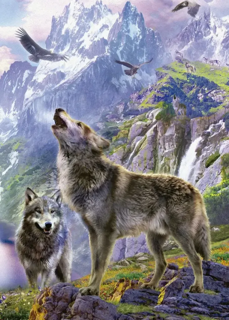 Educa wolves in the rocks 500 palaa