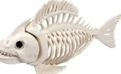 Eläimen luuranko