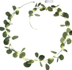Eucalyptus nauha led 2m