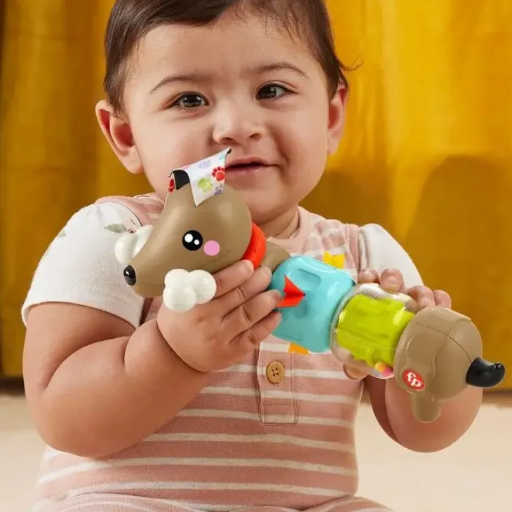 Fisher price click and spin activity pup