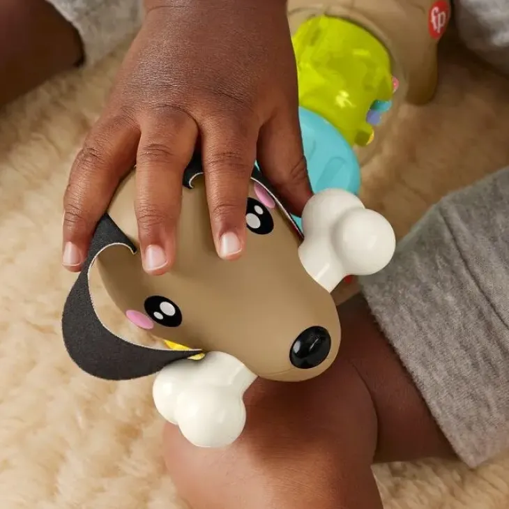 Fisher price click and spin activity pup