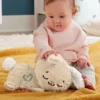 Fisher price little soothe&settle bunny
