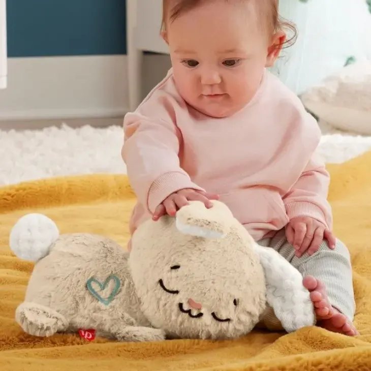 Fisher price little soothe&settle bunny