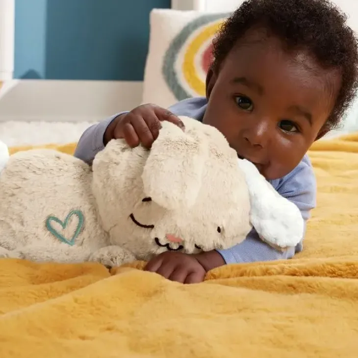 Fisher price little soothe&settle bunny