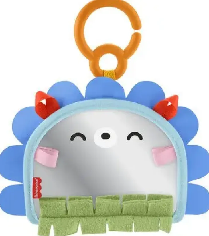 Fisher price on the go peili