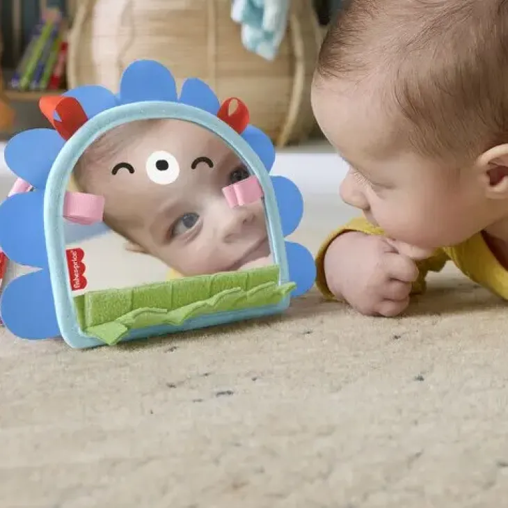 Fisher price on the go peili