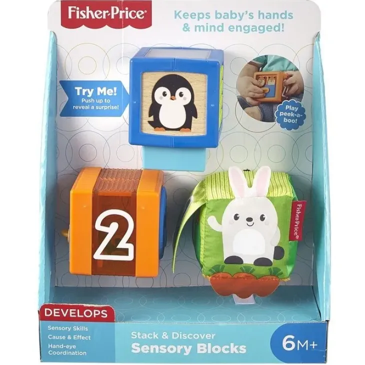 Fisher price sensory blocks