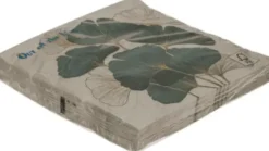 Ginko lautasliina 20 kpl
