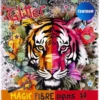Glitter huopakynä magic 10 väriä