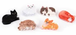 Great pretenders cats`n dogs hiusklipsi