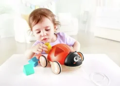 Hape vauvalelu ötökkä