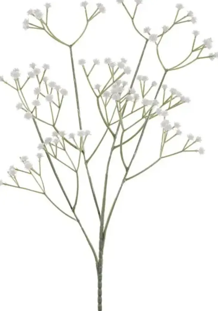 Harsokukka oksa 62cm