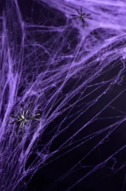 Hämähäkin seitti violetti