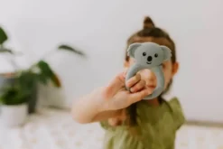 Jellystone silikoninen purulelu koala