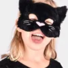 Kissa naamari