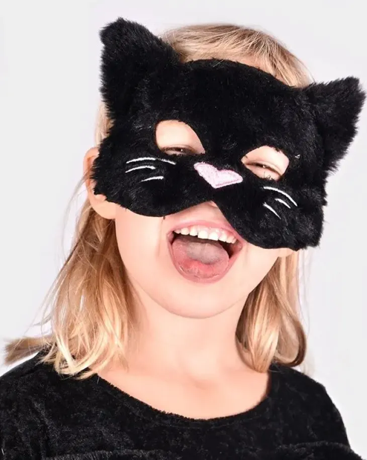 Kissa naamari