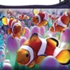 Kukkaro 3d clowni kalat