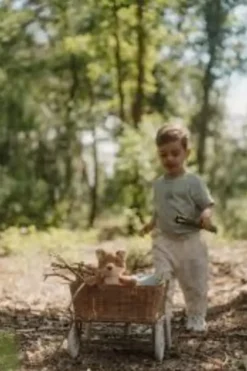 Little dutch forest pehmo kettu & sieni