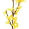 4living kevätpensasoksa 74cm