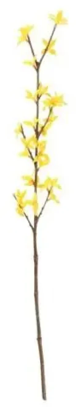 4living kevätpensasoksa 74cm
