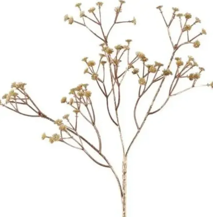 4living koristeoksa harsokukka kulta56cm