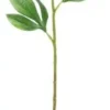 4living pioni 60cm valkopinkki