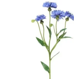 4living ruiskukka oksa 61,5 cm