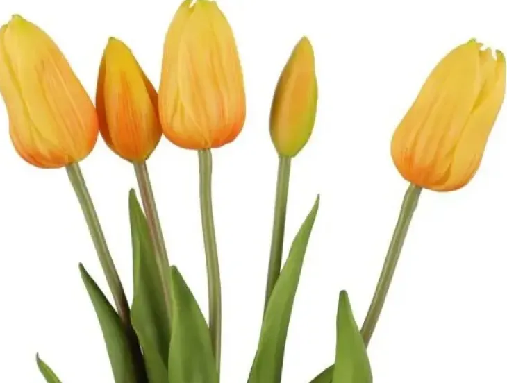 4living tulppaanikimppu keltainen