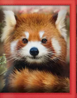 Lompakko 3d kultapanda