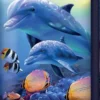 Lompakko 3d seahorse kingdom