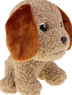 Lumo stars labradoodle poppy iso