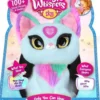 Magic whispers kitty turkoosi