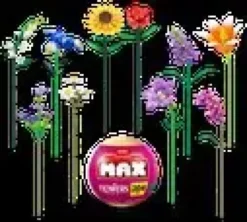 Max-max premium garden long flowers