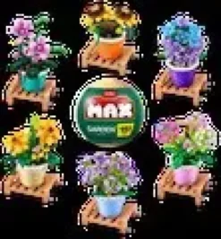 Max-max premium garden pot plants