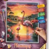 Mnz numeromaalaus flamingos