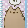 Muistikirja pusheen