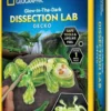 National geographic dissectional gecko