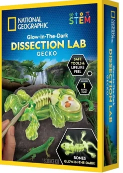 National geographic dissectional gecko