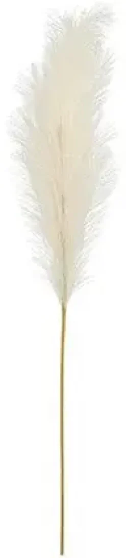 Pampaheinä 110cm