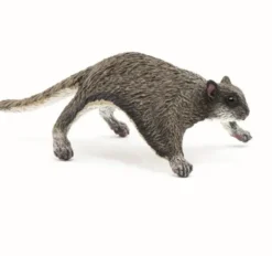 Papo liito-orava