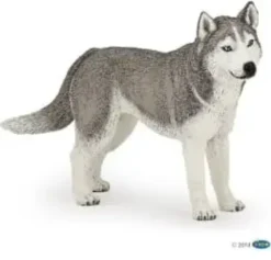 Papo siperian husky